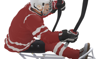 sledge hockey